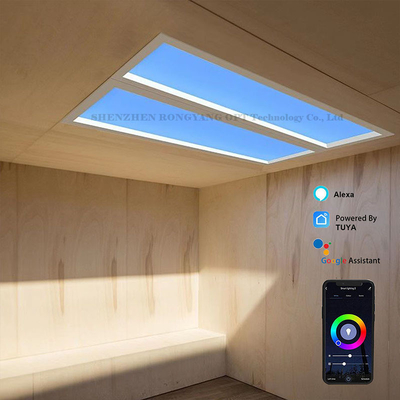 110VAC Virtual Artificial LED Panel Skylight Dimming 60x120 CCT 6500K 8000lm