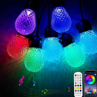 Ρυθμιζόμενος 48ft RGB String Light Αδιάβροχο DC12V 15 Bulbs App Control