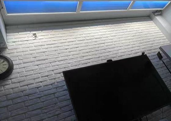 110VAC Virtual Artificial LED Panel Skylight Dimming 60x120 CCT 6500K 8000lm